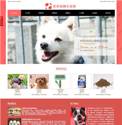 宠物养护网站模版