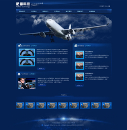 虚拟飞行网站模版