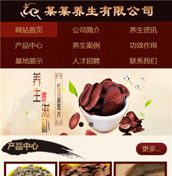 养生药材网站模版