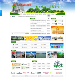 基层窗口网站模版